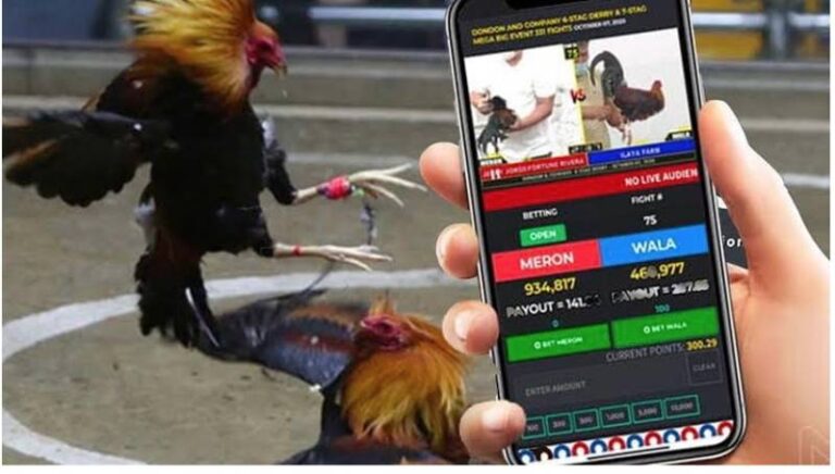 Đá Gà Online Có Bị Bắt Không? Sự Thật Không Phải Ai Cũng Biết 15 Đá Gà Online Có Bị Bắt Không? Sự Thật Không Phải Ai Cũng Biết